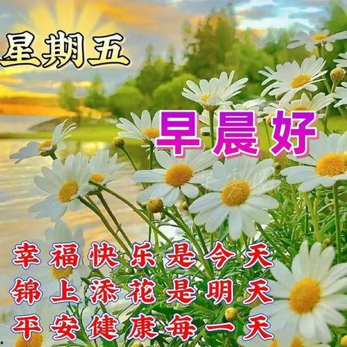 星期五早安图片,阳光明媚，美好心情开启新一周