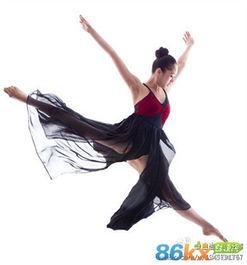 舞真个人资料,舞动青春，绽放光芒的舞蹈奇才