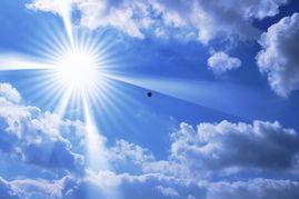 灿烂阳光图片,感受生命活力