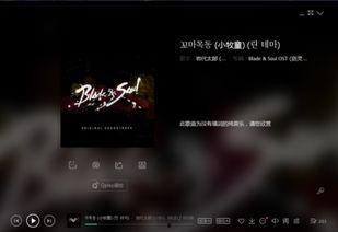 树林背景音乐,沉浸自然之音的宁静之旅