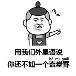 盇峚罫表情包,网络文化中的趣味与智慧